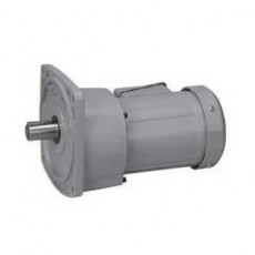 NISSEI 感應(yīng)減速電機(jī)0.1kW-2.2kW系列