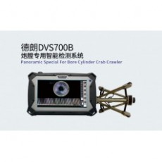 DELLON 炮膛專用智能檢測系統DVS700B系列